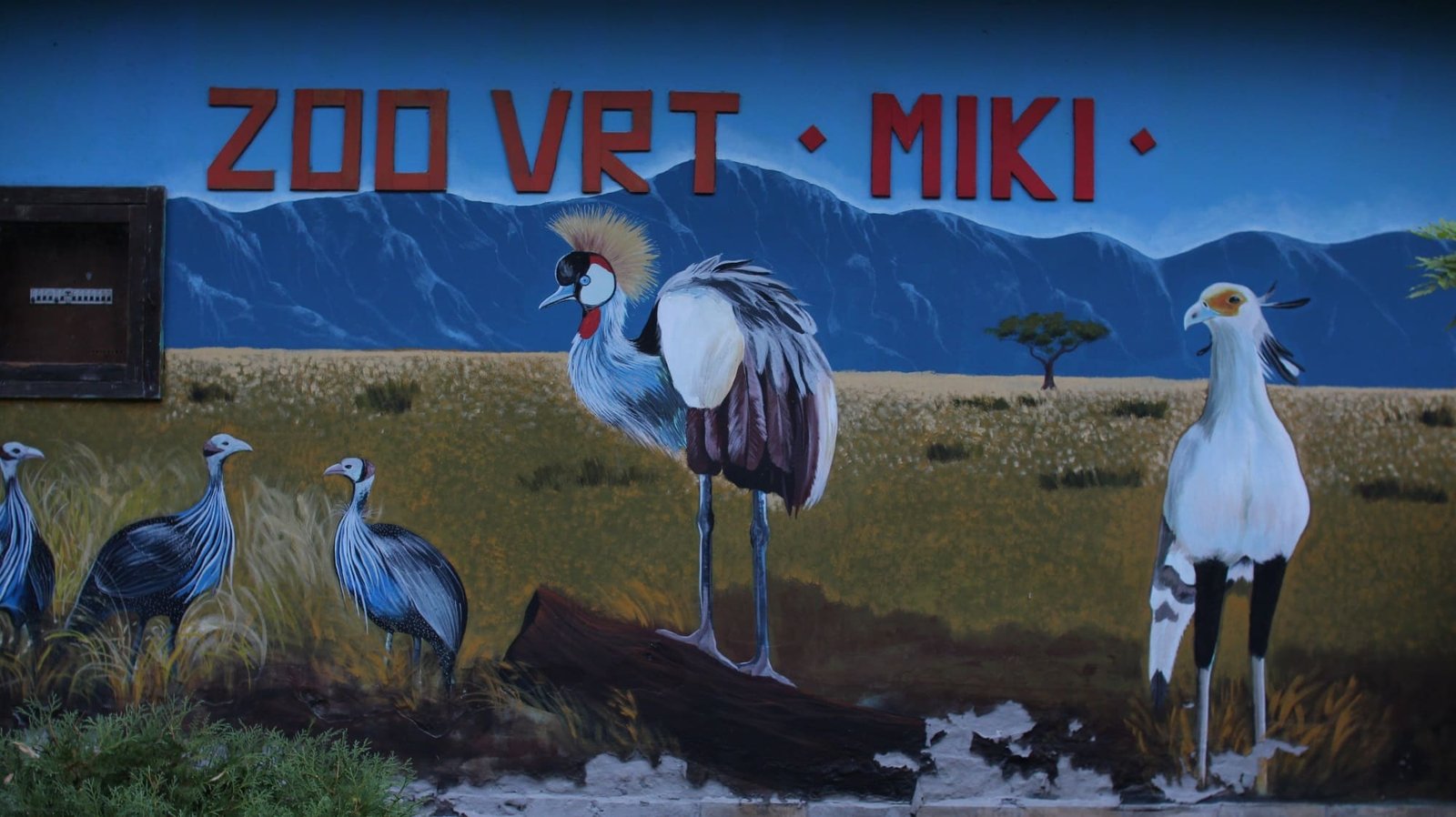 Miki Zoo