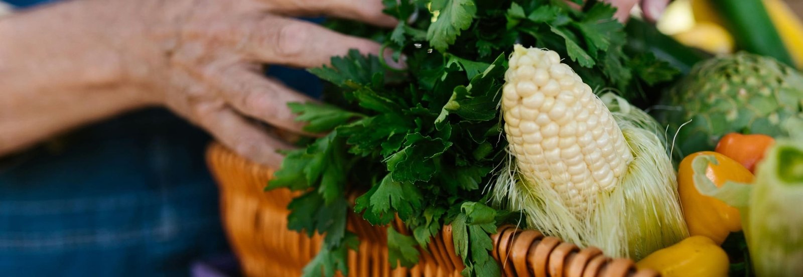 Paniers de fruits et légumes de saison