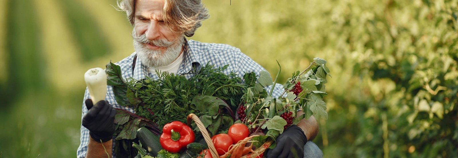 Un agriculteur accroupi tient un legume dans la main droite et un panier de legumes dans la main gauche